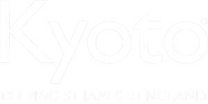 Kyoto on sale futons ltd