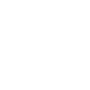 Mobile Telephone